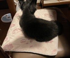 何でも聞きます イメージ1