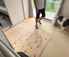 賃貸OK！愛犬の傷や汚れ、悩みをプロが解決します 愛犬の住まい相談！壊されない・汚れない空間をDIY提案