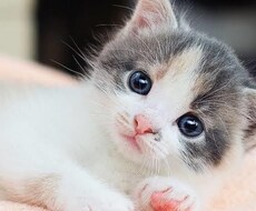 心身のお悩みお任せください。一緒に改善策を考えます イメージ1