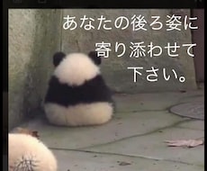 元不登校児の精神科ナースが傾聴します 元引きこもりも体験。メンタルな部分でお手伝いいたします。