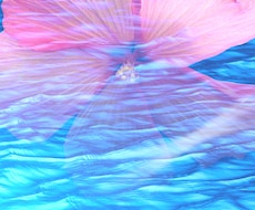 占います イメージ1