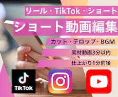 リール・TikTok・ショート動画編集します カット・テロップ・BGMまで、テンポよく仕上げます
