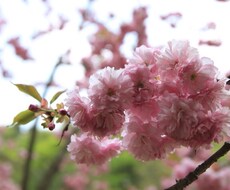 大学受験の相談なんでも乗ります イメージ1