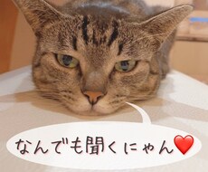 推しの話聞きます イメージ1