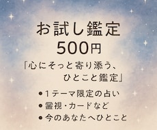 お試し鑑定 :ご希望の1テーマ占います