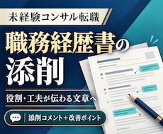 未経験コンサル転職向けに職務経歴書を添削します 事業会社の経験を、役割・工夫・成果が伝わる文章へ