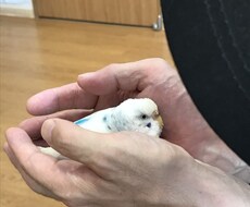 貴方の悩み、愚痴、お話し伺います イメージ1