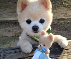 何でも相談してください！是非私が相談受けます イメージ1