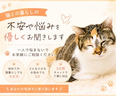 猫との暮らしの悩み聞きます イメージ1