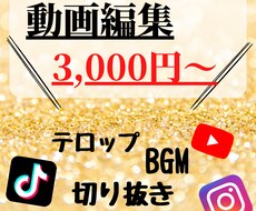 切り抜き、テロップ入れ等、動画編集承ります イメージ1