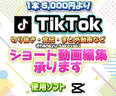 TikTokショート動画、個人利用動画を制作します イメージ1