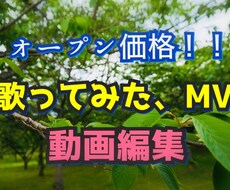セール中！歌ってみたMV制作お手伝いさせて頂きます イメージ1