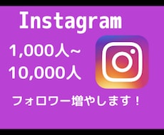 インスタのフォロワー+1000人増加します Instagram+1000人増加/500いいね！も対応