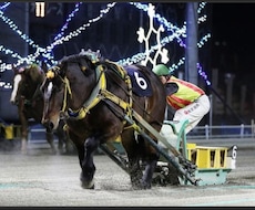 競馬打ちの9.5割が知らない的中率UP法を教えます イメージ1
