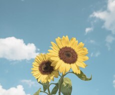 話を聴き、心と身体を元気にします イメージ1