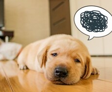 対人関係のお悩みをズバリ！アドバイスします イメージ1