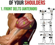 筋トレしたいけど悩んでる方にオススメします イメージ1