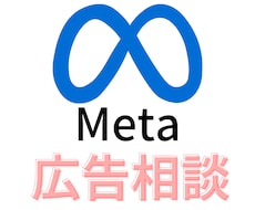 Meta広告運用コンサル※プロが全力のご提案します 【壁打ちと相談】改善・戦略を全て視て売上コミットのアドバイス