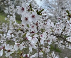ふわっと、ゆるっと。心のもやもやに耳を傾けます イメージ1