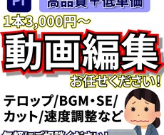 YouTubeやSNS等の動画編集承ります イメージ1