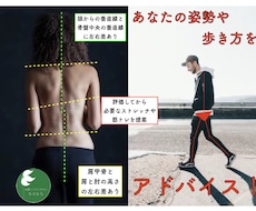 姿勢や歩き方が気になる方にアドバイスします イメージ1