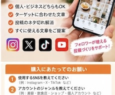 Instagram・XなどのSNS投稿文作成します イメージ1