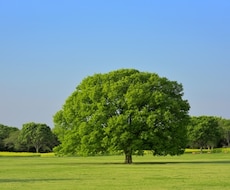 皆様の愚痴やお悩みをお聞致します イメージ1