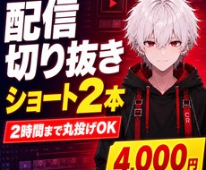 配信アーカイブからショート動画2本を制作します イメージ1