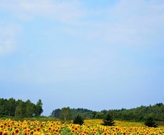 どこに行く？旅行の行き先に迷ったら鑑定します！ イメージ1