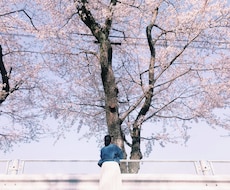 あなたの写真をフィルムの写真のように加工します