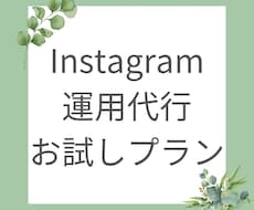 お試しプラン！インスタグラム運用代行します 運用代行したいけど・・・という方！まずはお試しでどうですか？