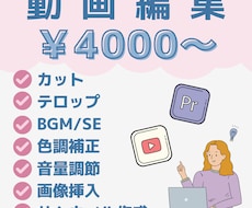 見やすく飽きない動画編集させていただきます 収益化済みYouTubeチャンネルの運用経験を活かした編集！