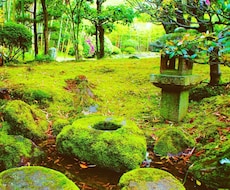 神社直伝！元巫女が姓名判断致します 簡易版姓名判断鑑定！簡易鑑定シート付！