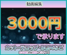 格安　3000円で動画編集します イメージ1