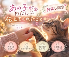 大切なあの子とあなたの心をつなぎます お試し版☆言葉にならないあの子の想いをあなたの心へ届けます