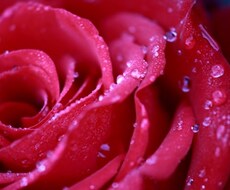 あなたの心とトコトン向き合います 自分の心と真剣に向き合っているあなたへ