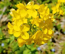 寝落ち通話お付き合いします イメージ1