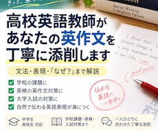 高校英語教師が英作文を丁寧に添削します イメージ1