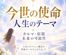 あなたの今世の　使命と人生テーマを詳しく鑑定します イメージ1