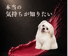 お相手の気持ち・本音│霊感恋愛タロットで占います 彼の気持ち・片思い・LINE・連絡｜本音を読み解きます