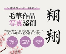 毛筆作品を写真で丁寧に添削します イメージ1