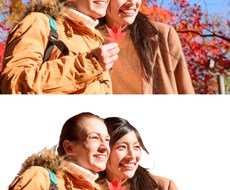 画像の加工・切取り編集致します イメージ1