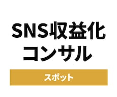 SNS収益化のための伴走型スポットコンサルします イメージ1