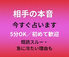今すぐ知りたい相手の本音を占います