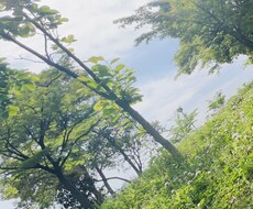 心のお悩みならどんなお話でも聞きます イメージ1