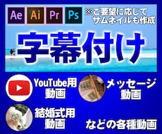 動画に字幕付けをさせていただきます イメージ1