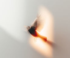 霊視します イメージ1