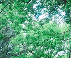 心の不安、楽にします イメージ1