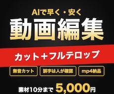 AIで安く早く、カットとテロップの編集をします イメージ1