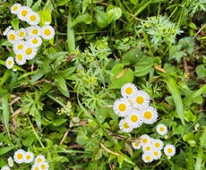 景色や花等、風景写真を撮っています イメージ1